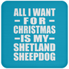 All I Want For Christmas Is My Shetland Sheepdog - Coaster