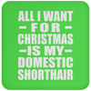 All I Want For Christmas Is My Domestic Shorthair - Coaster