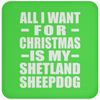 All I Want For Christmas Is My Shetland Sheepdog - Coaster