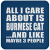 All I Care About Is Burmese Cat And Like Maybe 3 People - Drink Coaster