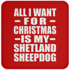 All I Want For Christmas Is My Shetland Sheepdog - Coaster