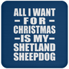 All I Want For Christmas Is My Shetland Sheepdog - Coaster