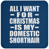 All I Want For Christmas Is My Domestic Shorthair - Coaster